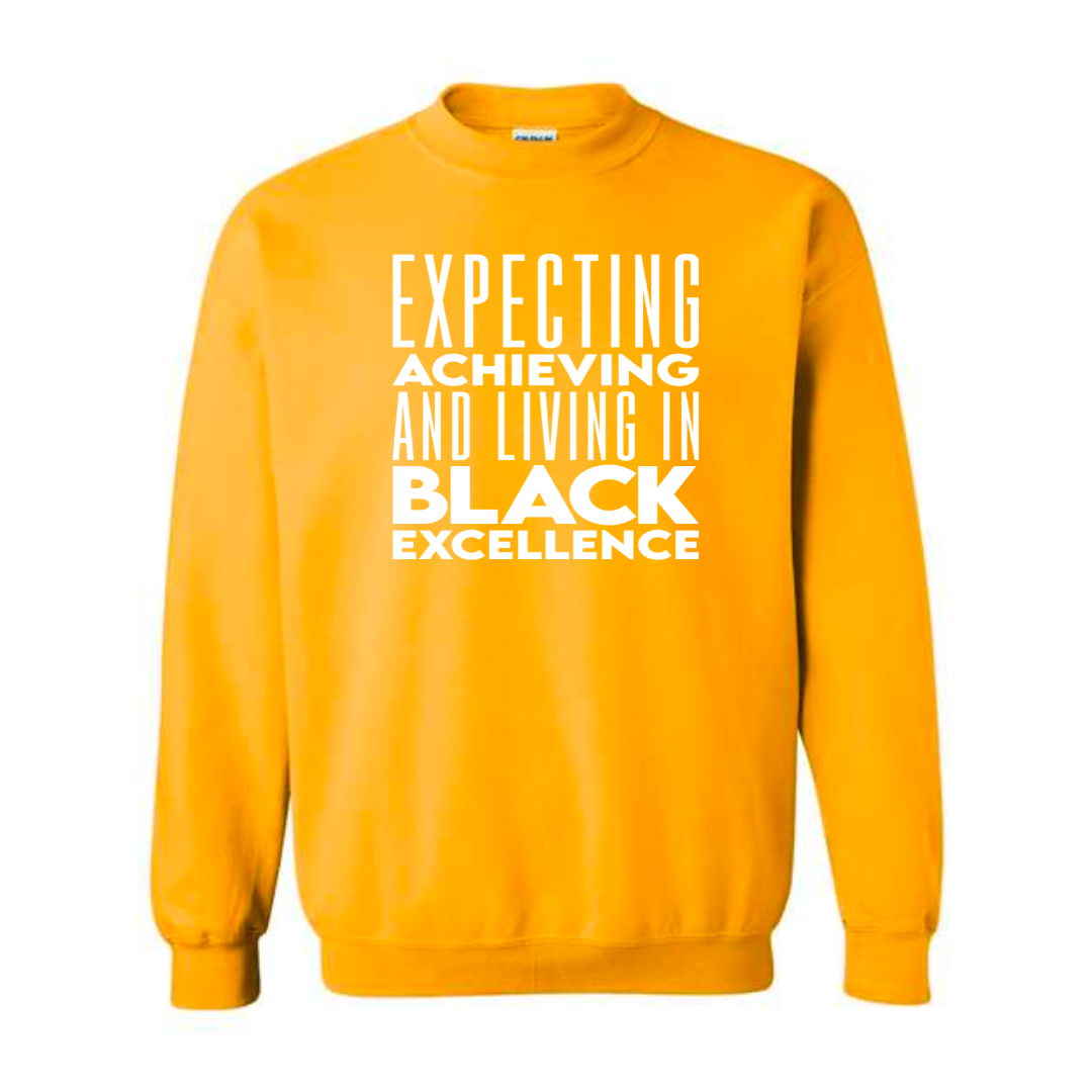 Black Excellence gold sweatshirt