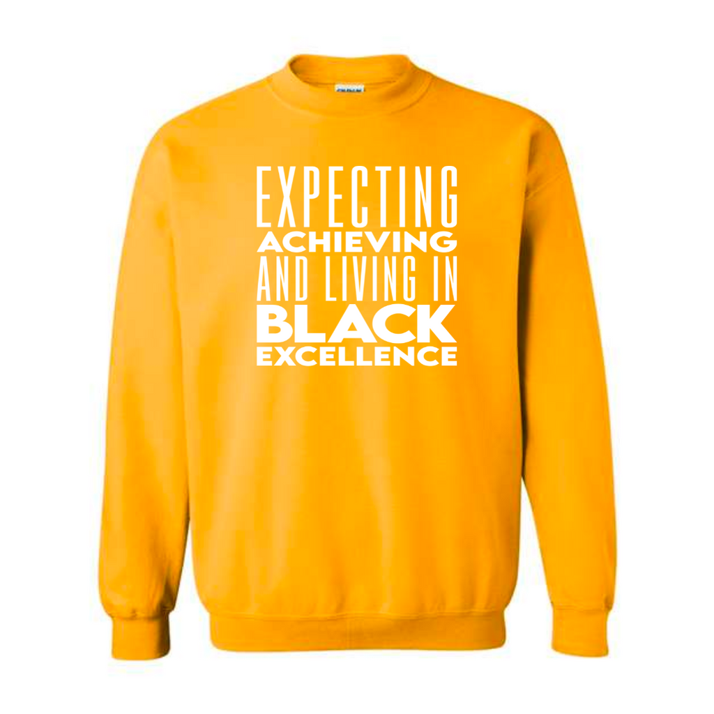 Living in Black Excellence Unisex Sweatshirt for Ladies